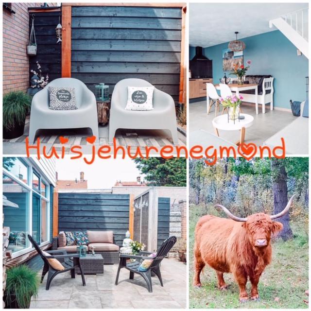 إغموند آن زي B&B Joeys Place المظهر الخارجي الصورة